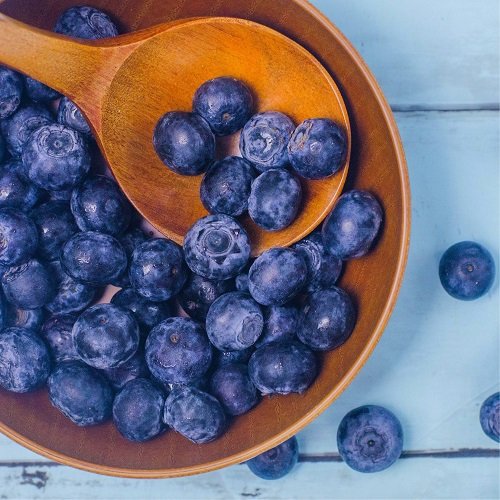 Can Dogs Eat Blueberries Daily Health Benefits And What You Need To Know