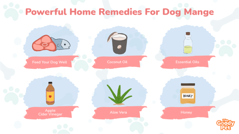 Home Remedies For Dog Itchy Skin That Actually Work