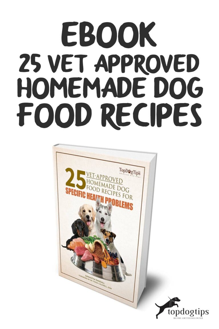How To Make Homemade Dog Food A Vet Approved Recipe You Can Trust