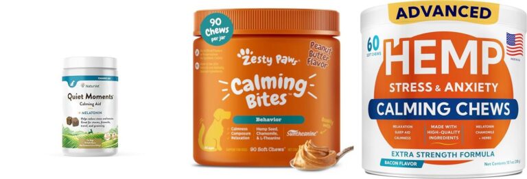 How To Treat Dog Anxiety Naturally Without Medication