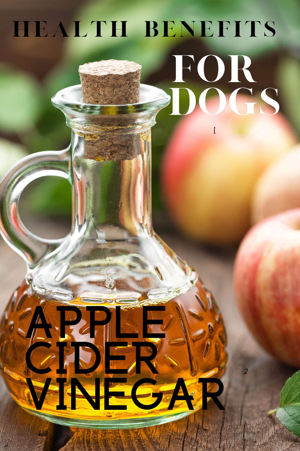 Is Apple Cider Vinegar Safe For Dogs Skin A Complete Guide For Pet Owners