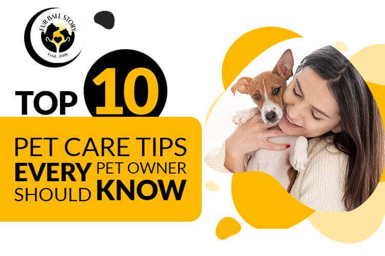 Essential Dog Care Tips Every Pet Owner Should Know